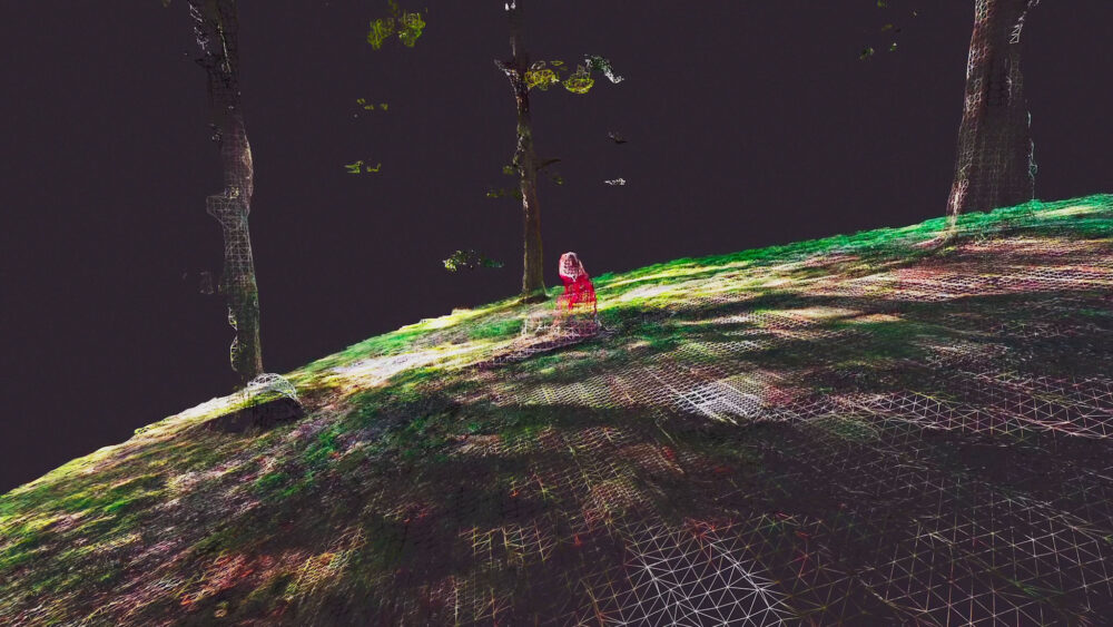 Là où naissent les ruines